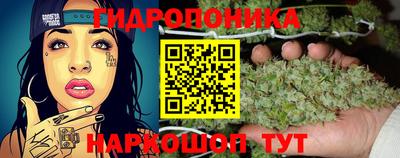 PSILOCYBIN Рыбинск