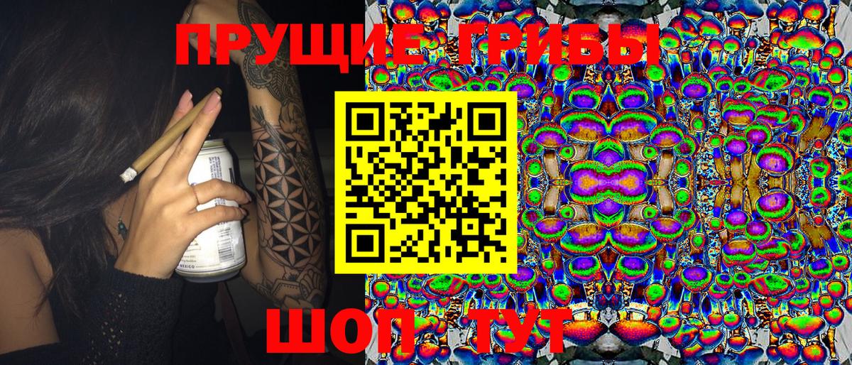 Псилоцибиновые грибы ЛСД  Вход с VPN  Новокубанск  сколько стоит  Галлюциногенные грибы Cubensis 