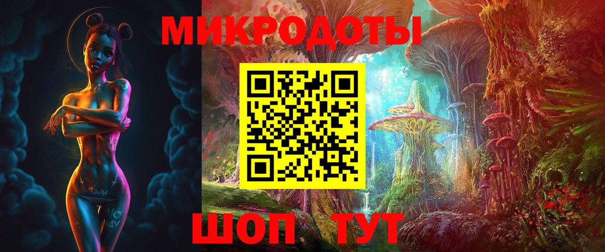 Псилоцибиновые грибы прущие грибы Новокубанск