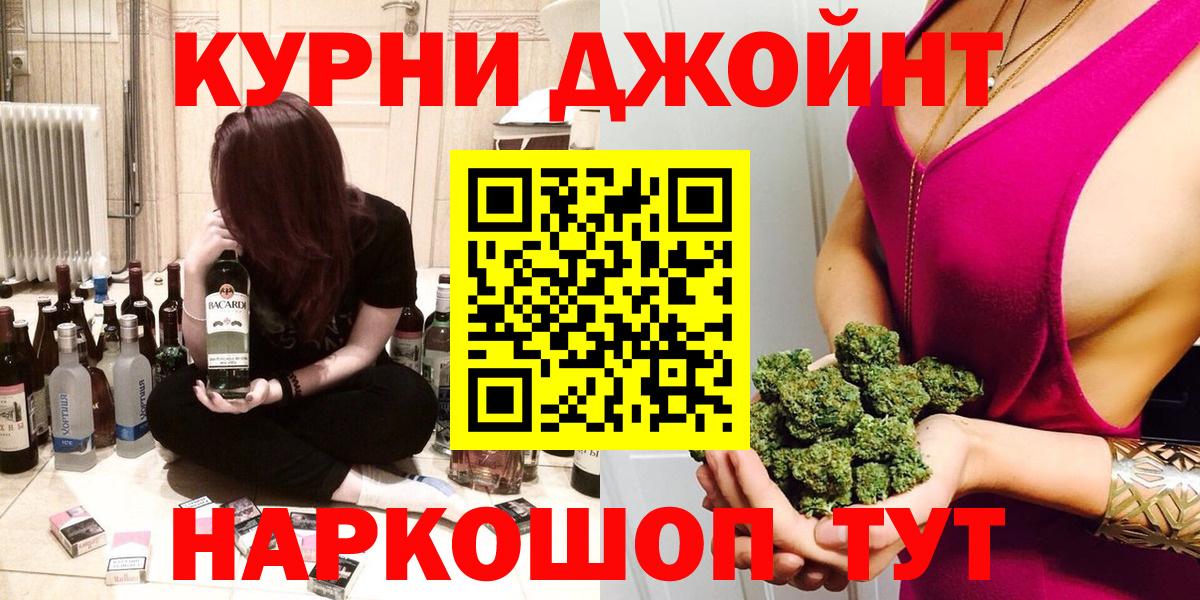 Канабис сатива Новокубанск